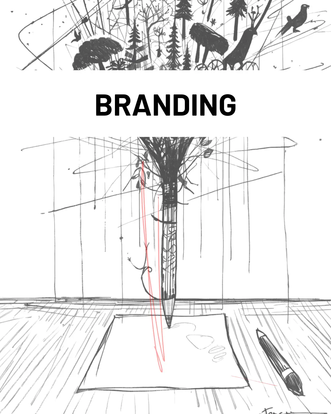 Imagen conceptual de branding, donde se ve una hoja y un lápiz de donde sale ilustraciones de naturaleza.