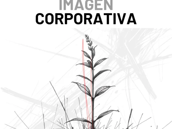 imagen corporativa