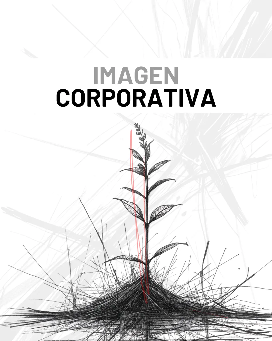 Boceto conceptual de una planta naciendo entre lineas y caos. Metáfora de una buena imagen corporativa que florece entre todas las demás